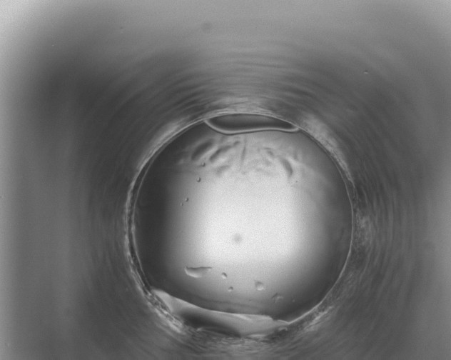 X0000071381002200606301805