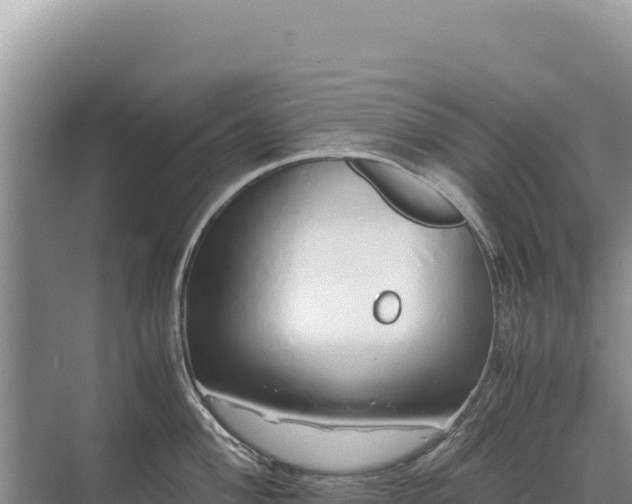 X0000071381004200606301805