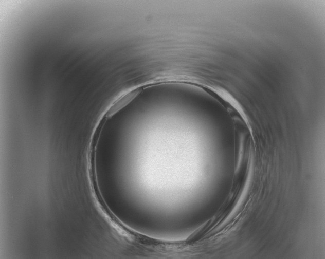 X0000071381005200606301805