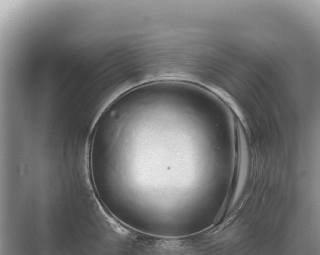 X0000071381006200606301805