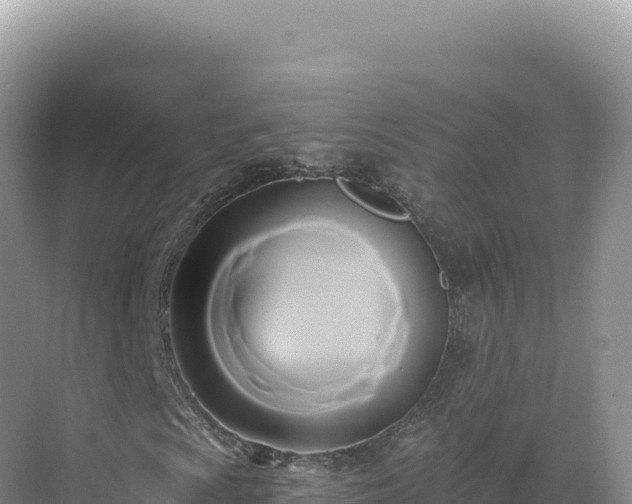 X0000071381009200606301804