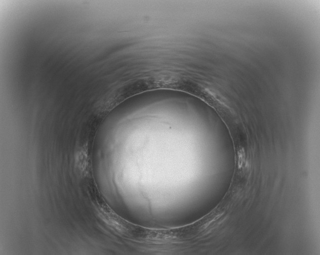 X0000071381011200606301804