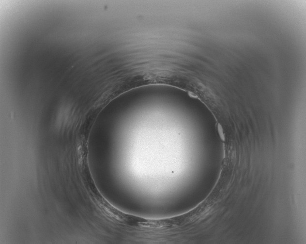 X0000071381012200606301804