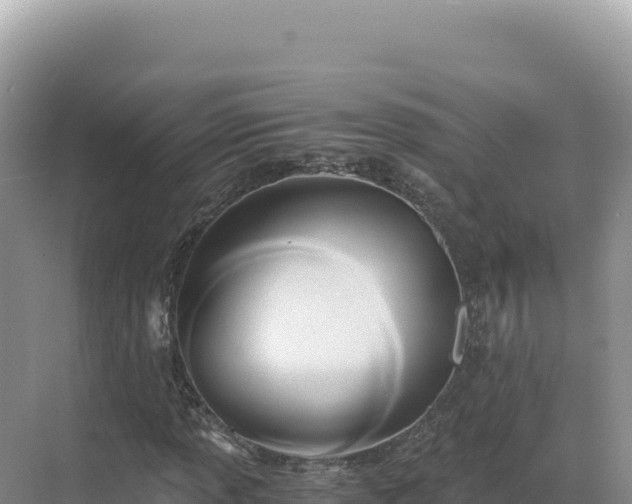 X0000071381013200606301804