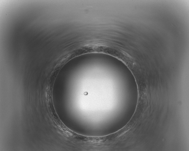 X0000071381014200606301804