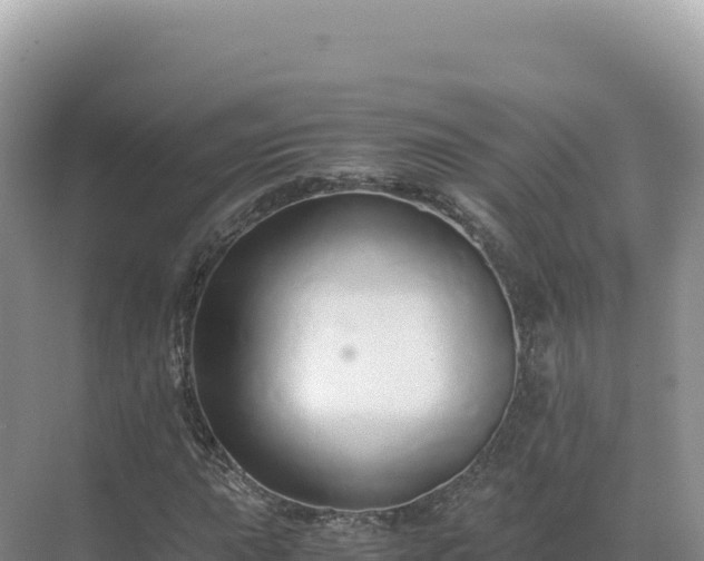 X0000071381015200606301804