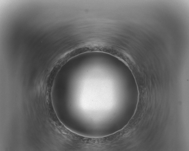 X0000071381016200606301804