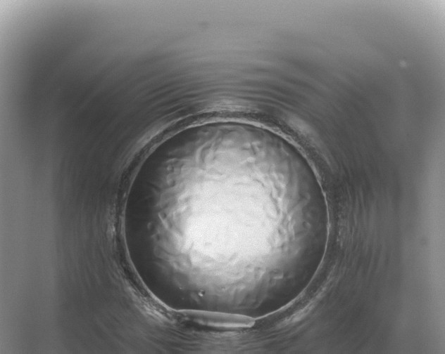 X0000071381017200606301804