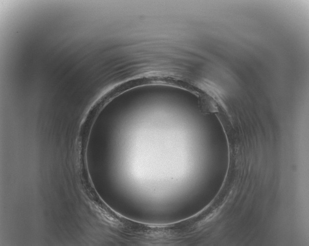 X0000071381021200606301804