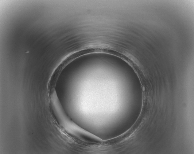 X0000071381022200606301804