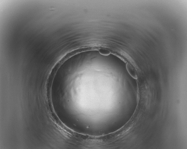 X0000071381023200606301804