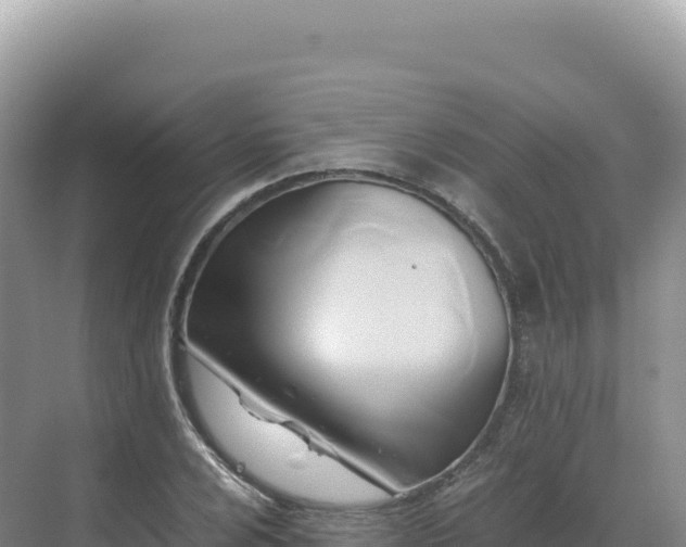 X0000071381024200606301804