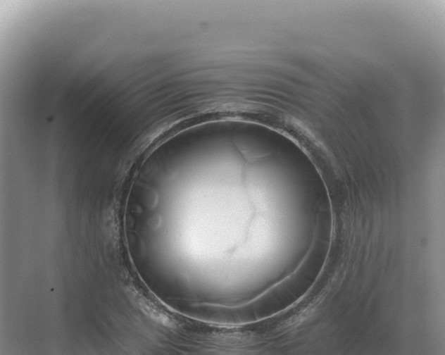 X0000071381025200606301804