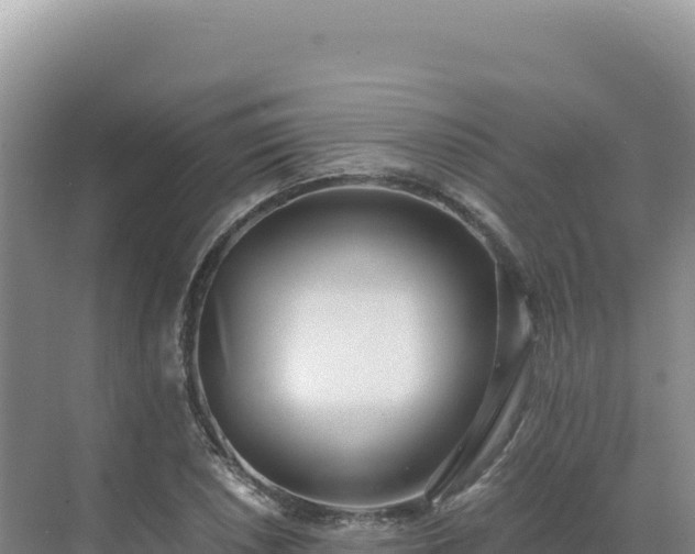 X0000071381026200606301804