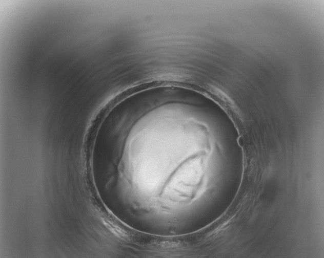 X0000071381027200606301804