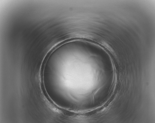 X0000071381028200606301804