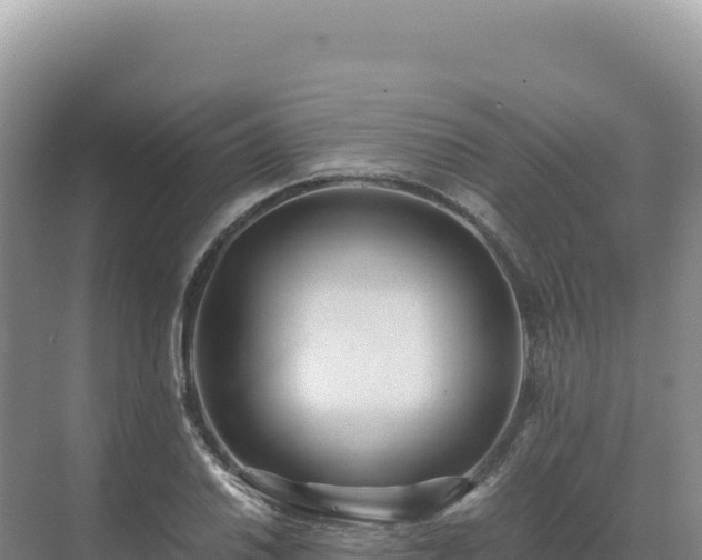 X0000071381030200606301804