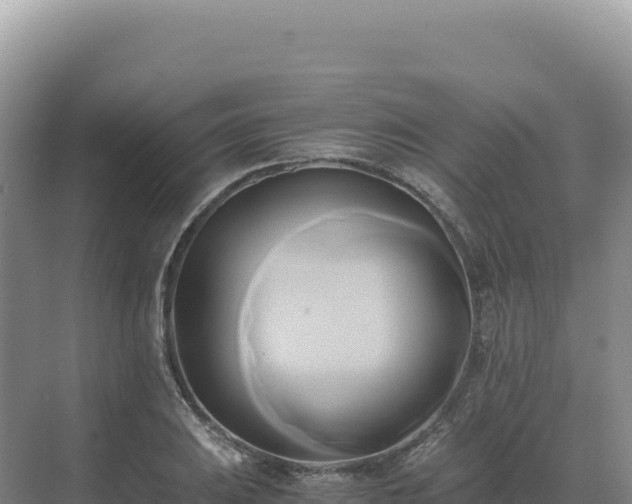 X0000071381031200606301804