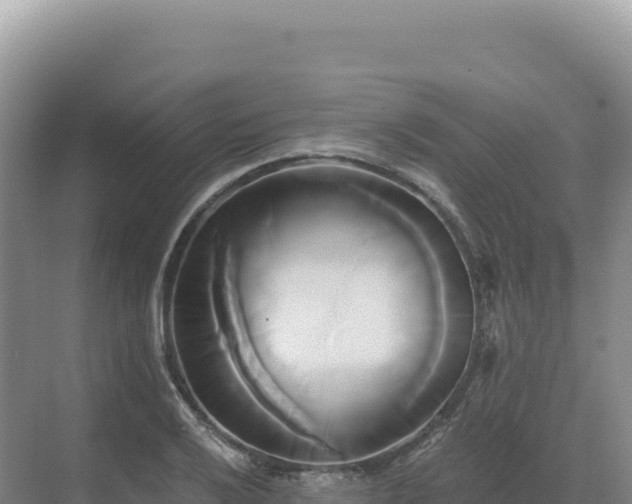 X0000071381032200606301804