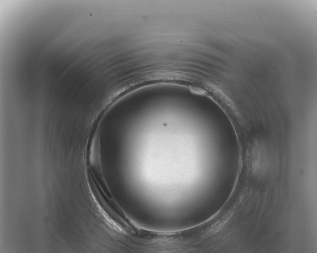 X0000071381033200606301804