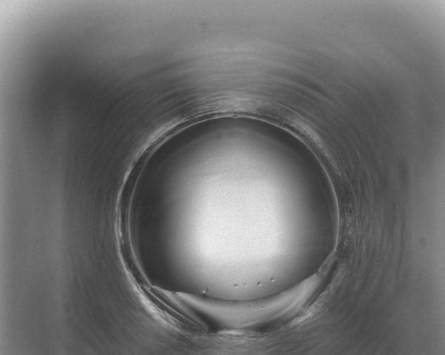 X0000071381034200606301804