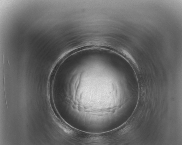 X0000071381035200606301804