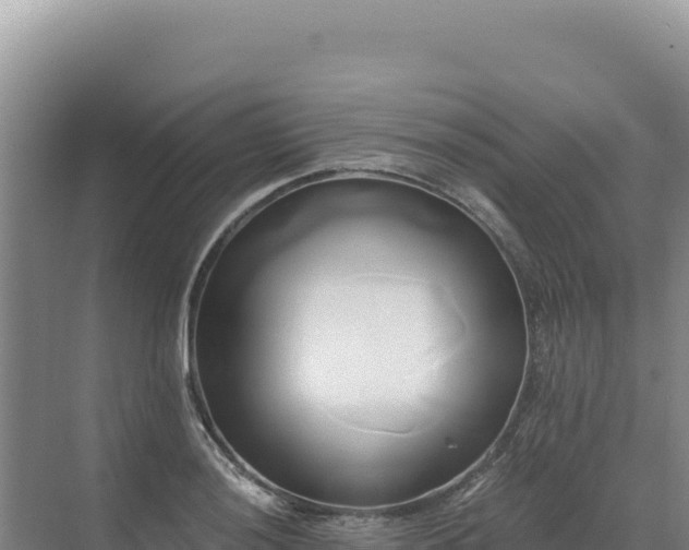 X0000071381036200606301804