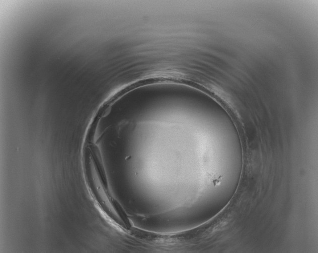 X0000071381037200606301804