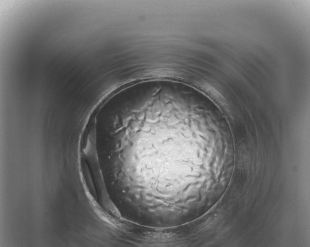 X0000071381039200606301804