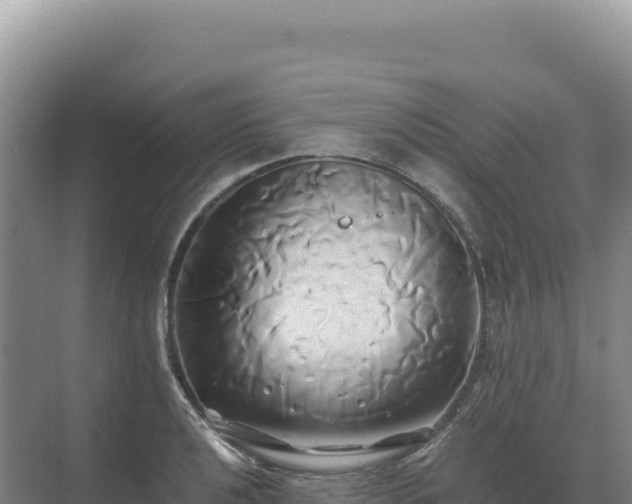 X0000071381040200606301804