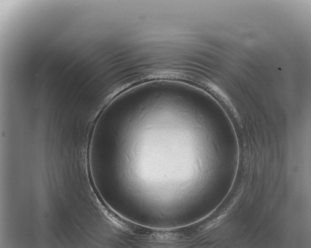 X0000071381041200606301804