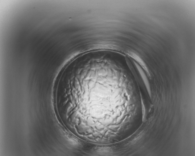 X0000071381043200606301805