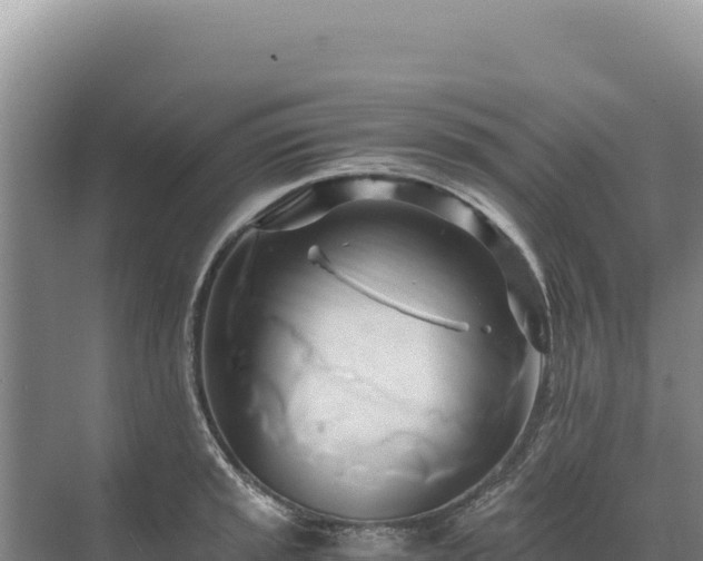 X0000071381045200606301805