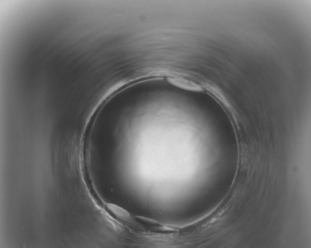 X0000071381048200606301805