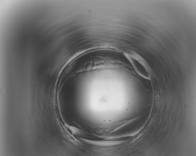 X0000071381052200606301805