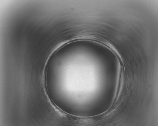 X0000071381053200606301805