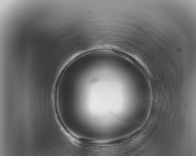 X0000071381054200606301805