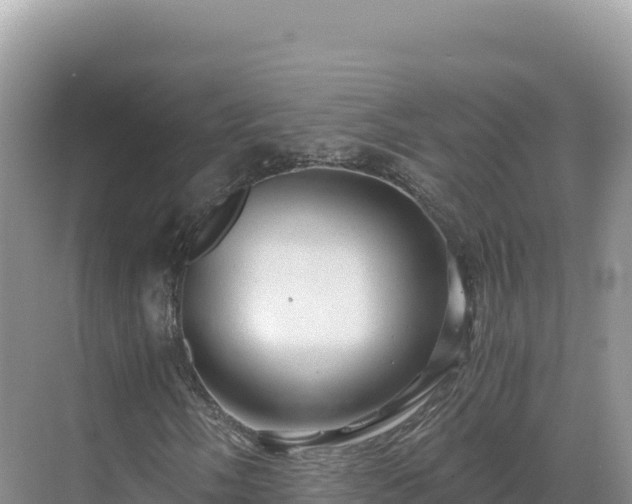 X0000071381058200606301804