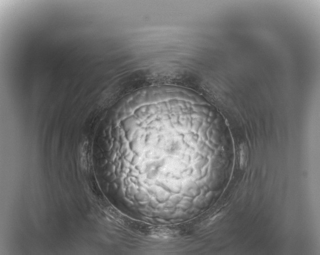 X0000071381059200606301804