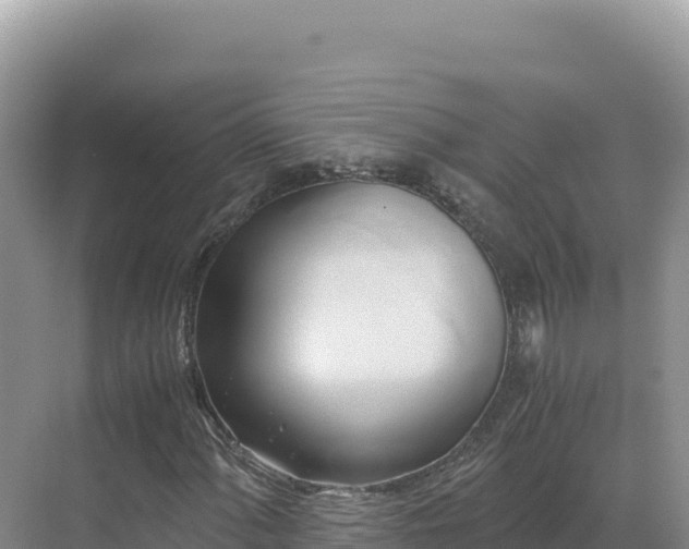 X0000071381060200606301804