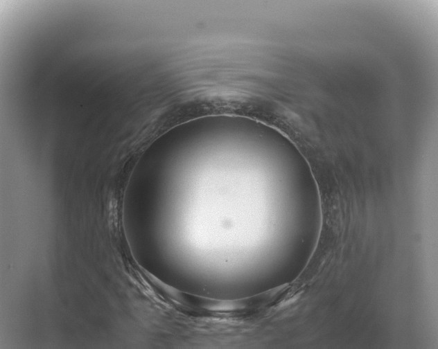 X0000071381061200606301804