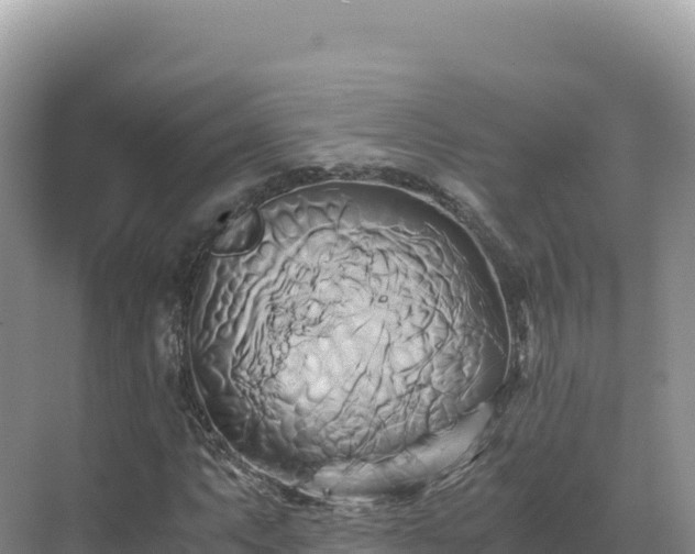 X0000071381063200606301804