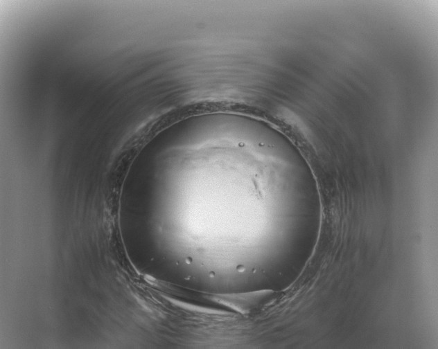 X0000071381064200606301804