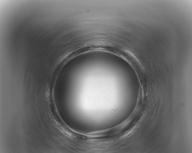 X0000071381065200606301804