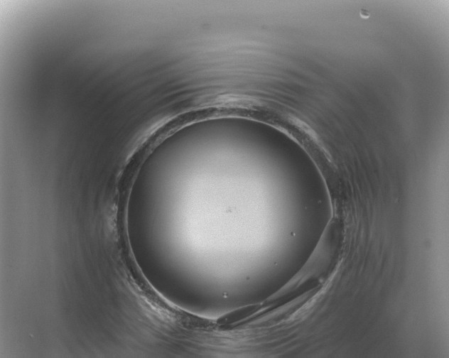 X0000071381066200606301804