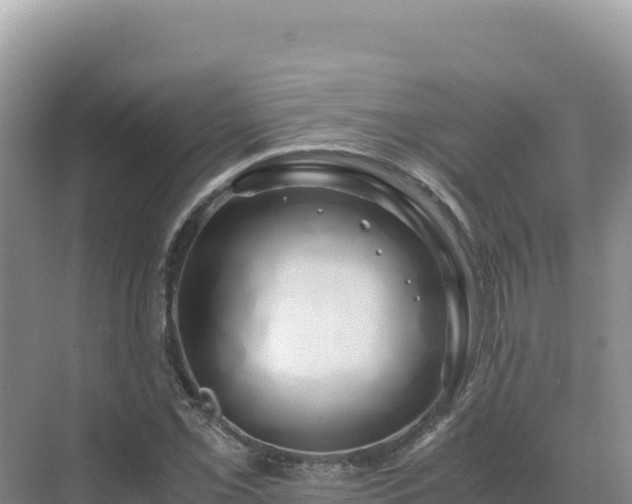 X0000071381069200606301804