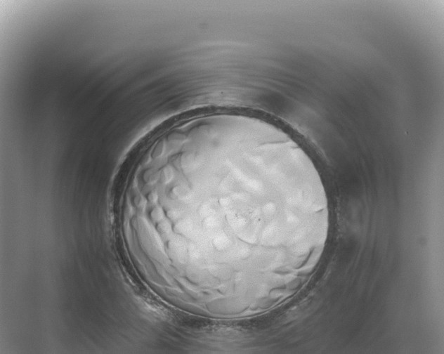 X0000071381070200606301804