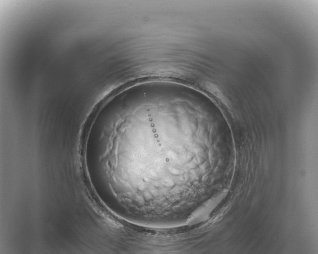 X0000071381071200606301804