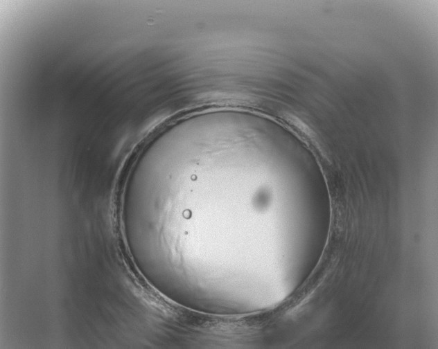 X0000071381074200606301804