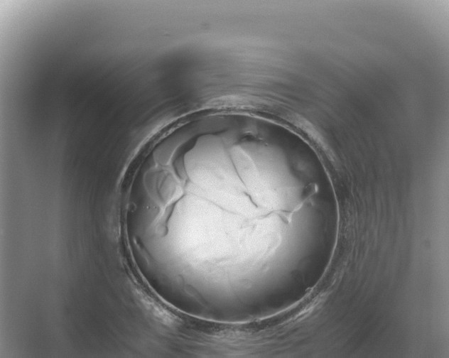 X0000071381075200606301804